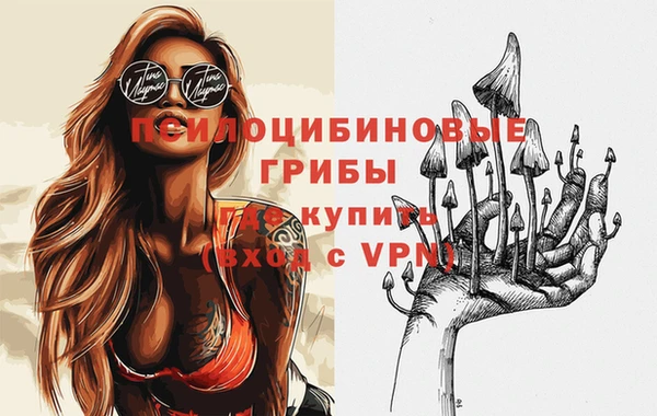МДПВ Балахна