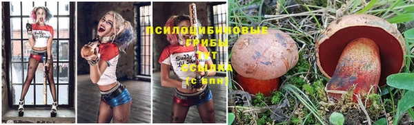 ешки Кострома