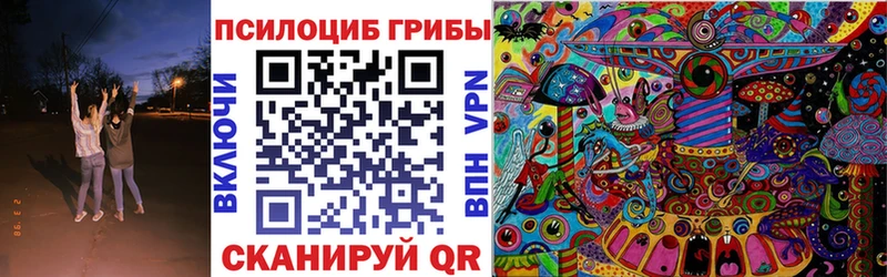 магазин    Ессентуки  Псилоцибиновые грибы Psilocybine cubensis 