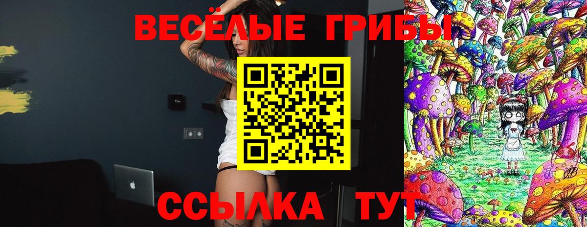 Ессентуки  Галлюциногенные грибы Magic Shrooms  Вход с VPN 