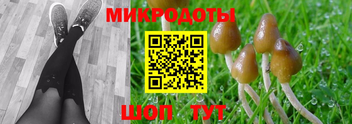 Псилоцибиновые грибы мухоморы Ессентуки